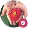 Joe's Airbnb profile image: a hand holding a red flower.